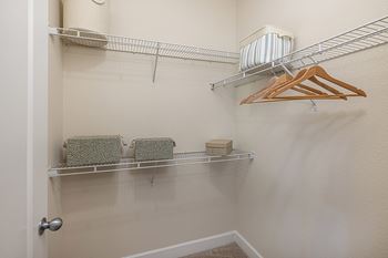 Spacious walk-in closets - DeLayne at Twin Creeks